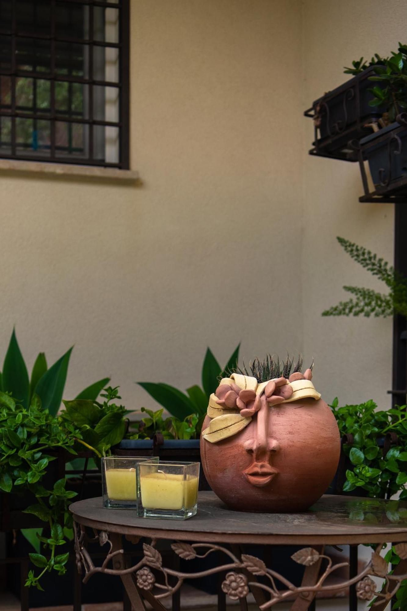 Guest House Antichi Ulivi 蒙德罗 外观 照片