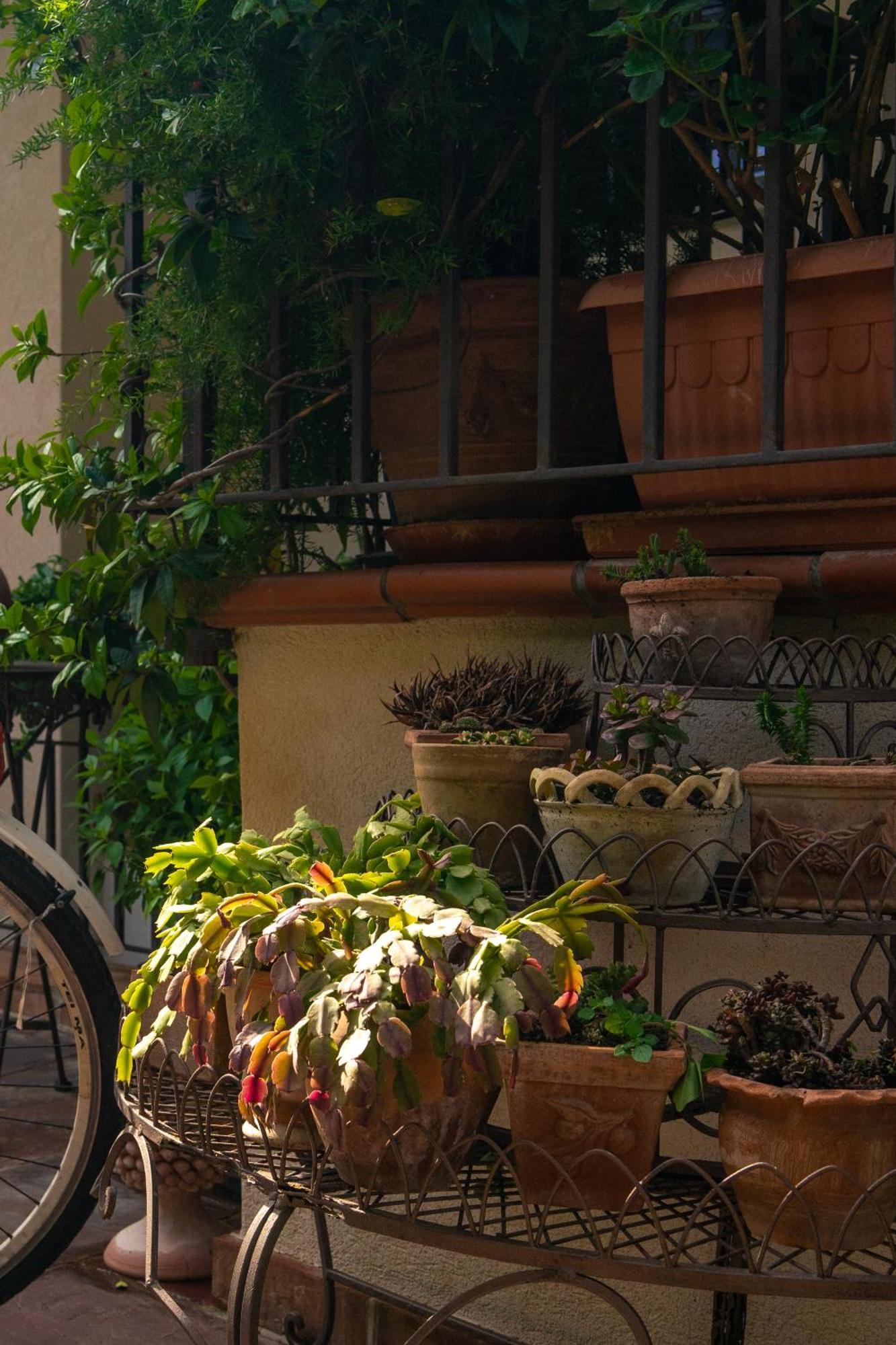 Guest House Antichi Ulivi 蒙德罗 外观 照片