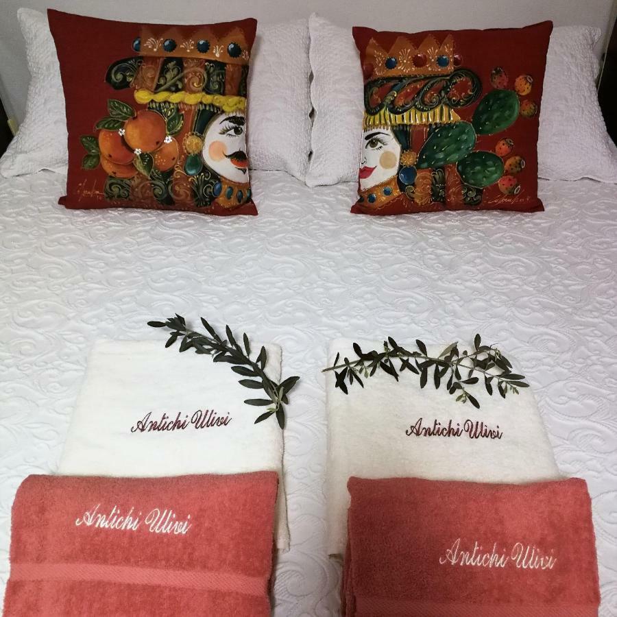 Guest House Antichi Ulivi 蒙德罗 外观 照片